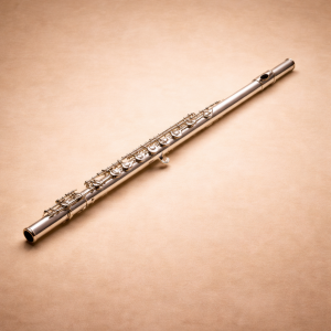 Querflötenunterricht